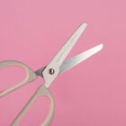 Legami Childrens Kitty Scissors
