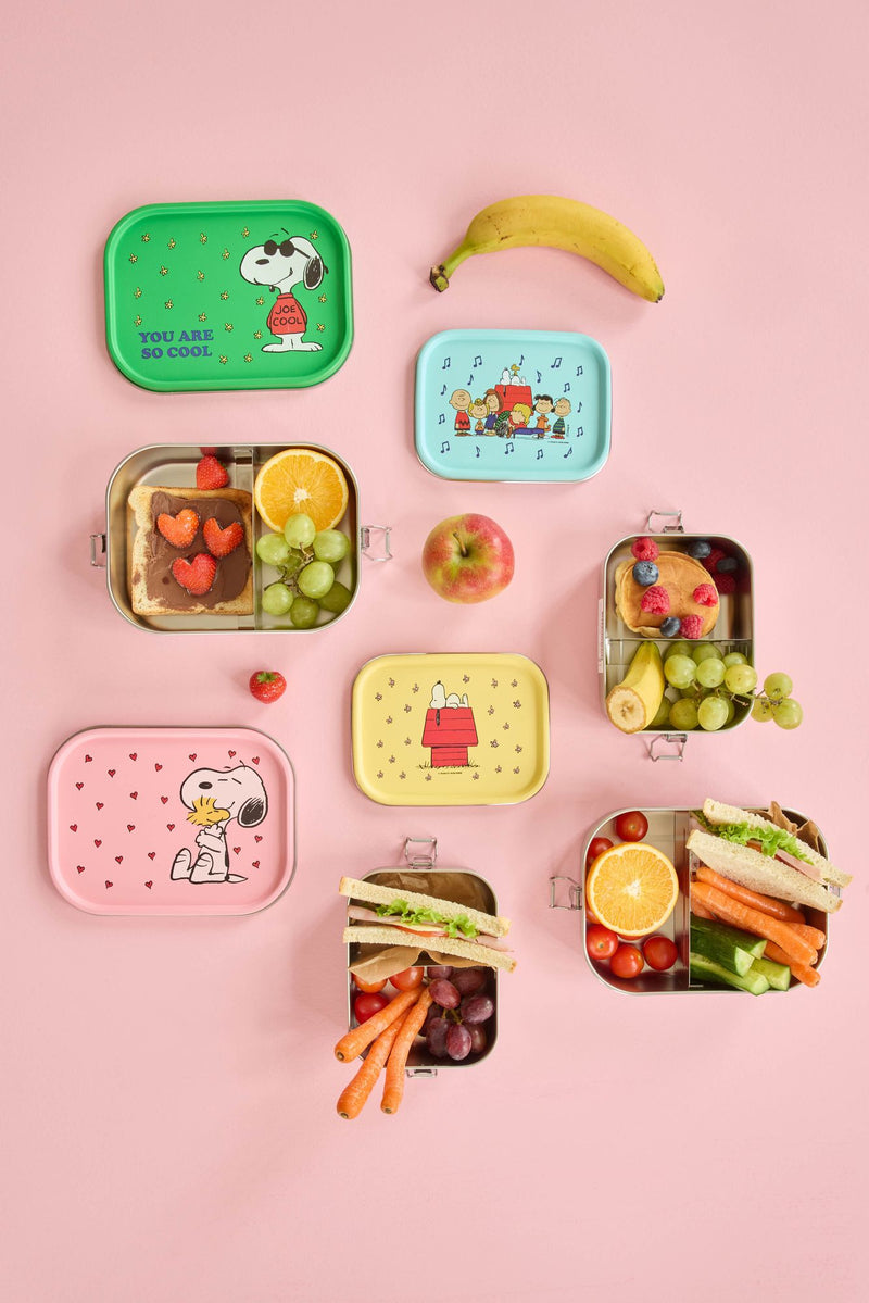 Stainless Steel Lunchbox with Moveable Divider and Blue Snoopy Print