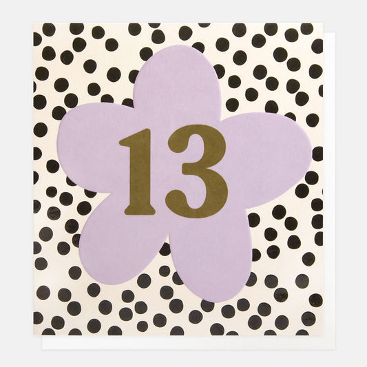13 Lilac Floral & Spot