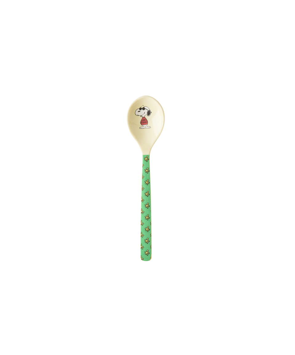 Melamine Tea Spoon Single - Green