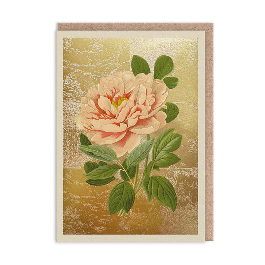 Tree Peony