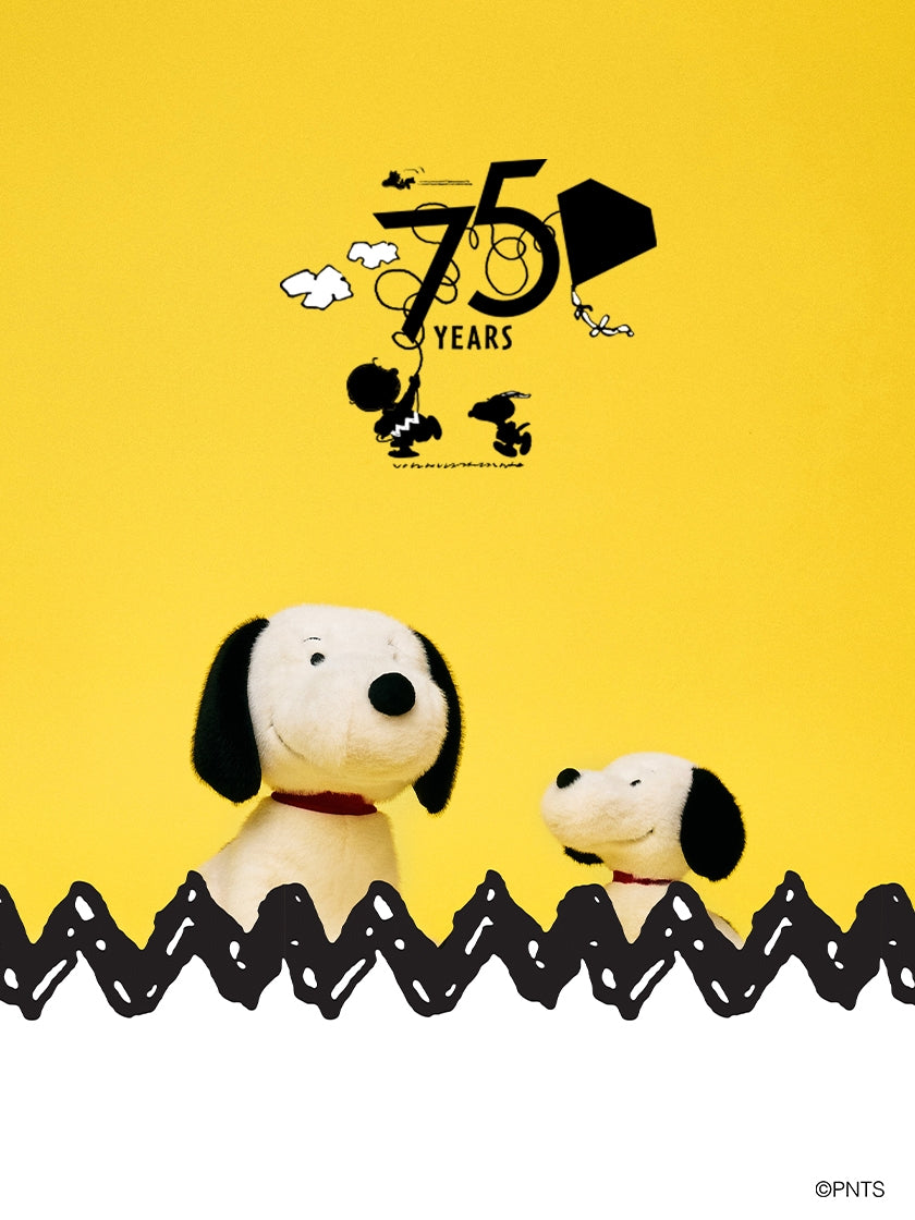 Snoopy Good Ol' Charlie Brown - LIMITED EDITION 28cm