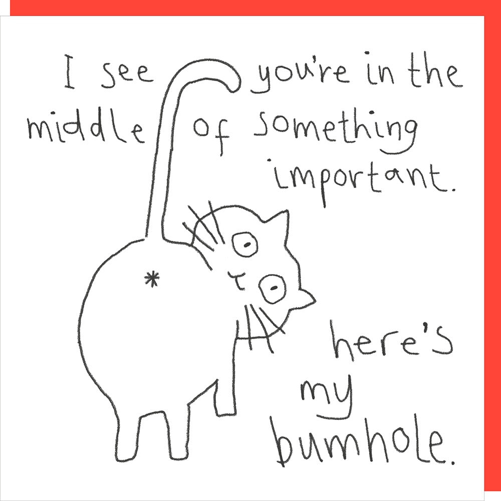 Bumhole