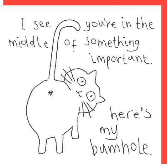 Bumhole