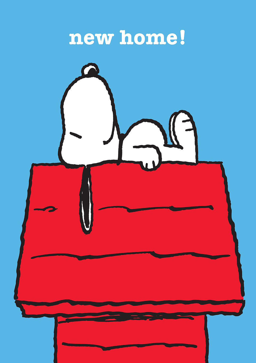 Snoopy New Home