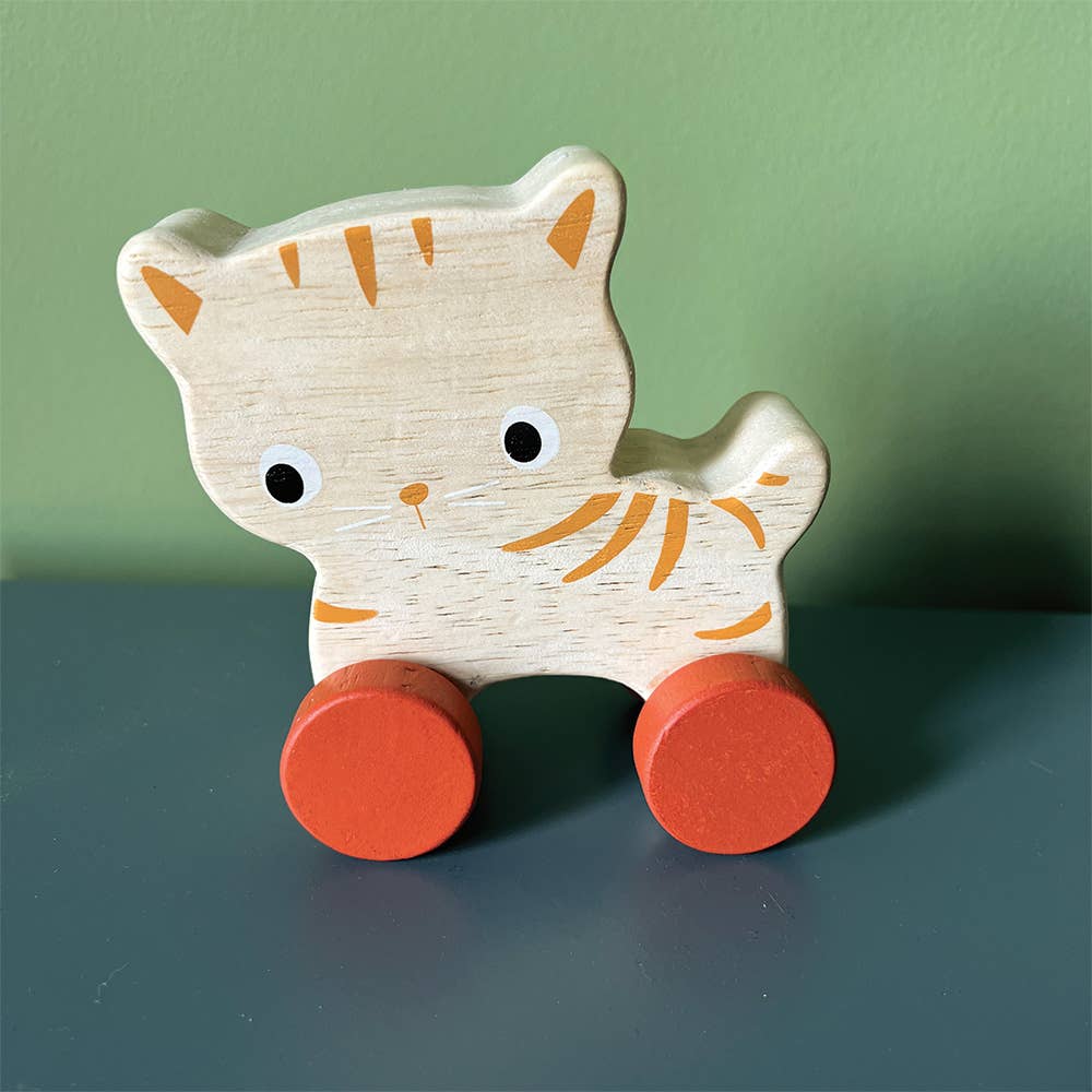 Mentari Kitten On Wheels