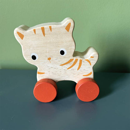 Mentari Kitten On Wheels
