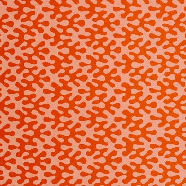 Gift Wrap - Kelp Tangerine
