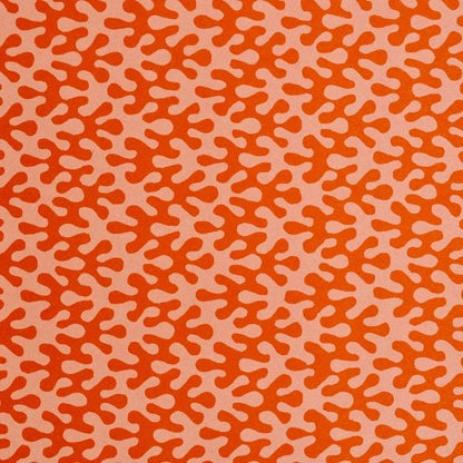 Gift Wrap - Kelp Tangerine