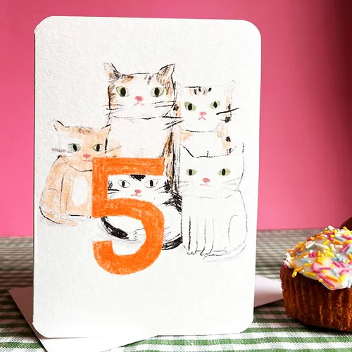 Five Today Cats