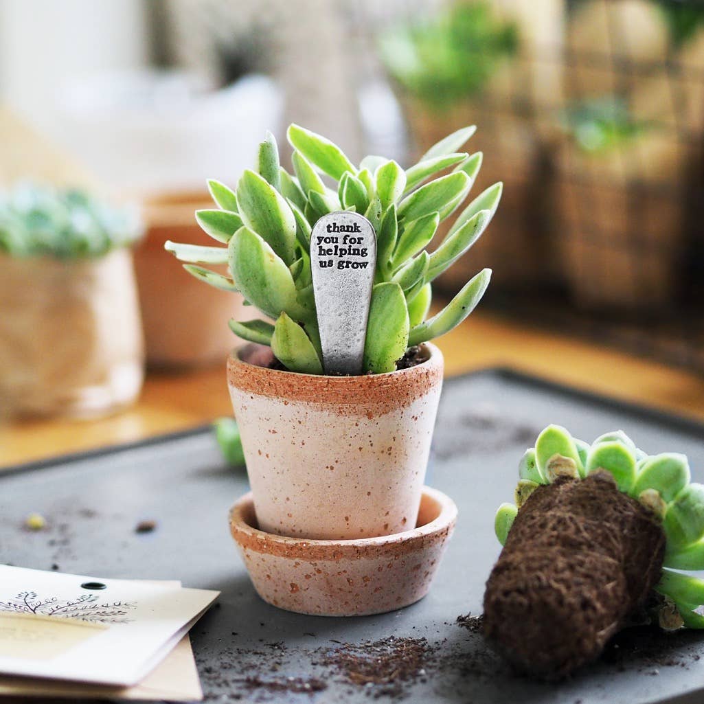 'Thank You For Helping Me Grow' Plant Marker: Thank you for helping me grow