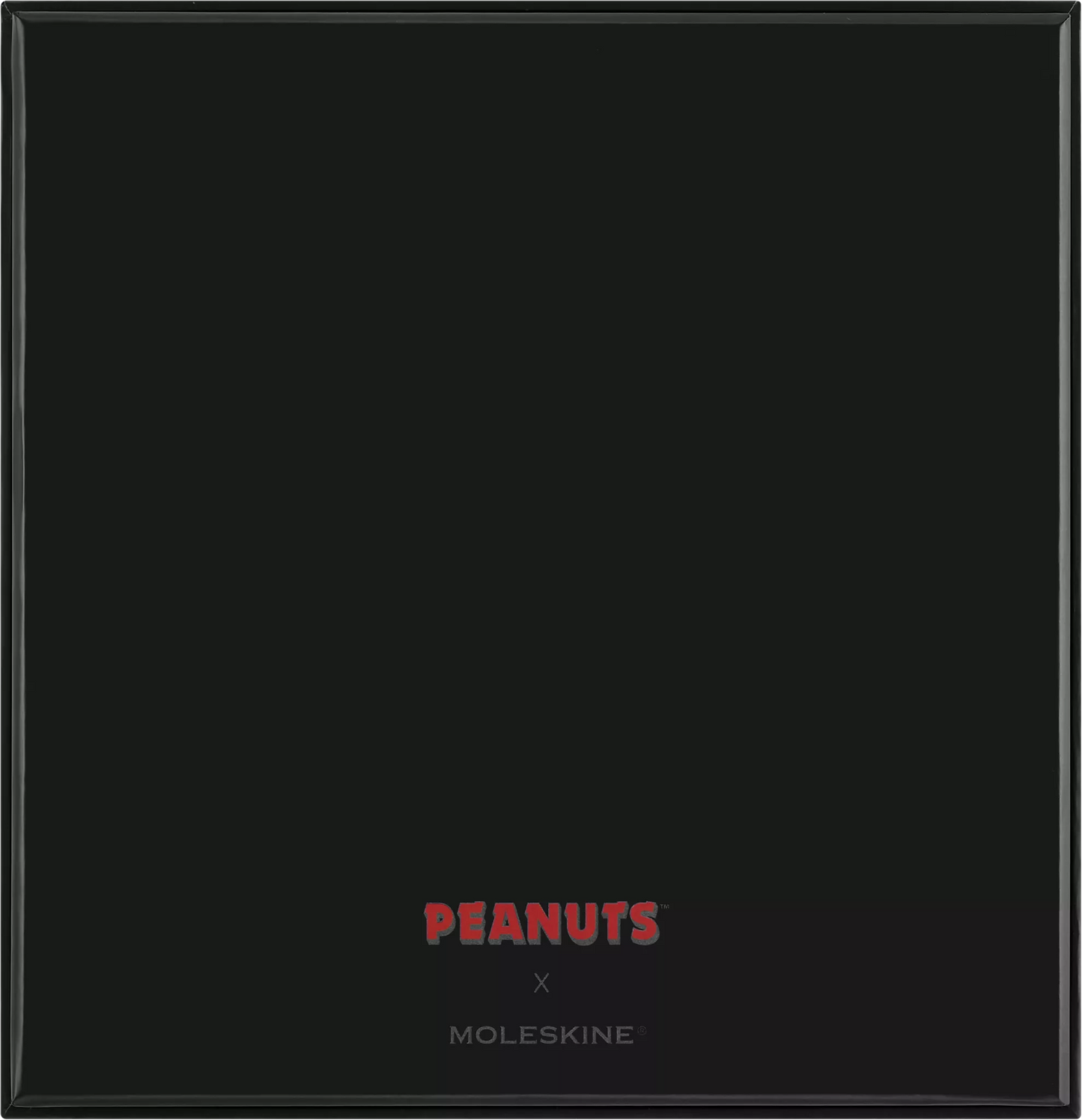 Peanuts Boxed Themed Large Hard Cover, Pencils, Stickers, Bookmark- Moleskine