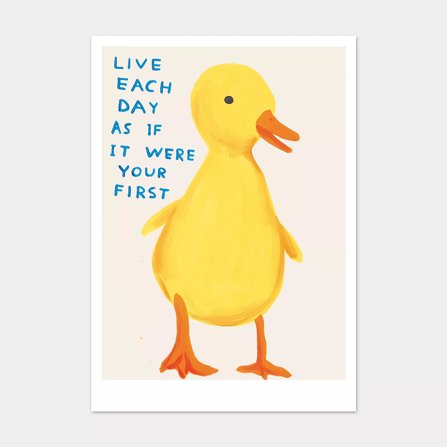 A5 Postcard Each Day - David Shrigley