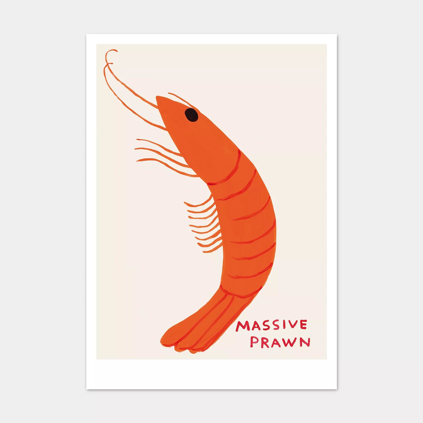 A5 Postcard Prawn - David Shrigley