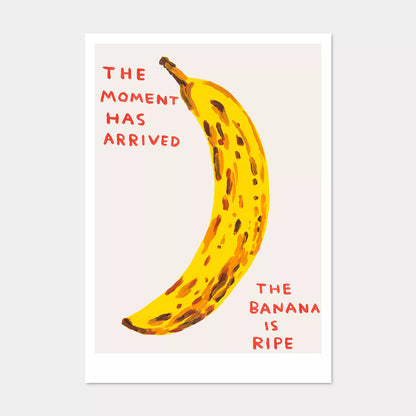 A5 Postcard Moment - David Shrigley