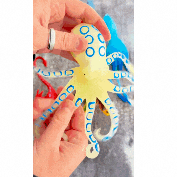 Glow In the Dark Octopus