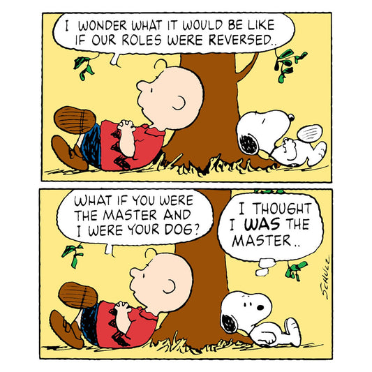 Snoopy - Under The Tree