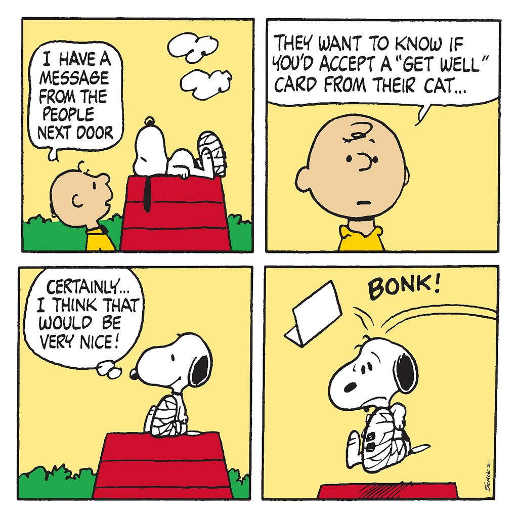Snoopy Get Well From Cat