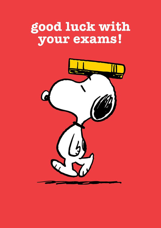 Snoopy Good Luck with Your Exams