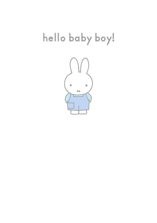 Miffy Hello Baby Boy!