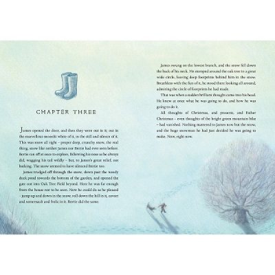 The Snowman - Book