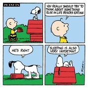 Snoopy Eating and Sleeping