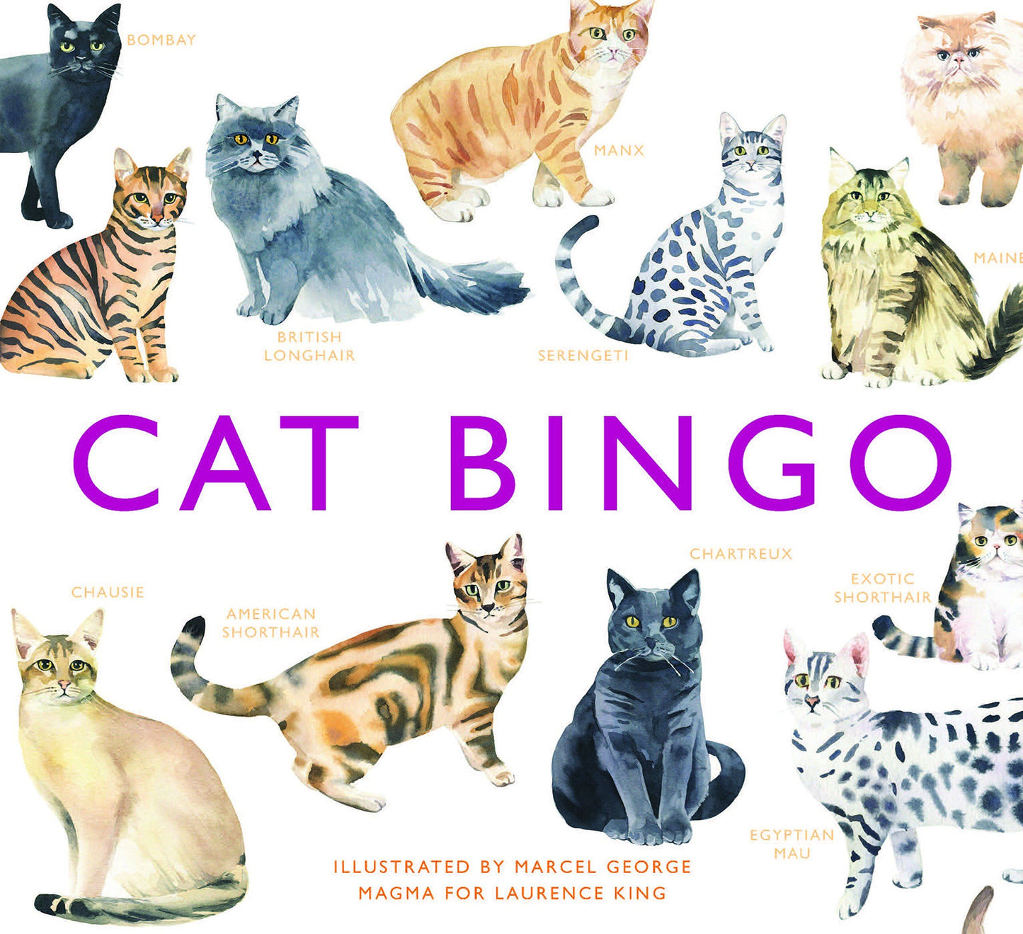 Cat Bingo