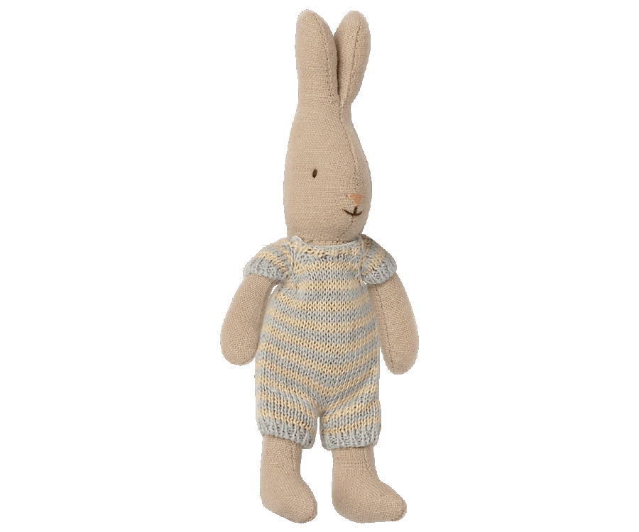 Rabbit Micro Boy