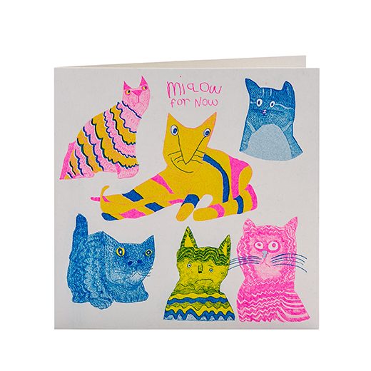 Miaow for Now Card