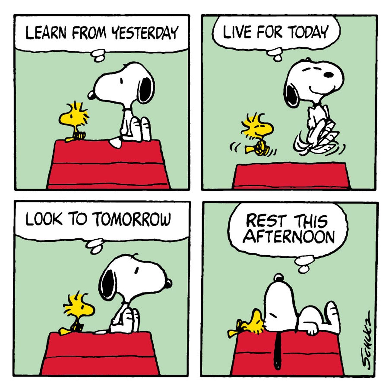 Snoopy - Learn From Yesterday – atticusboo