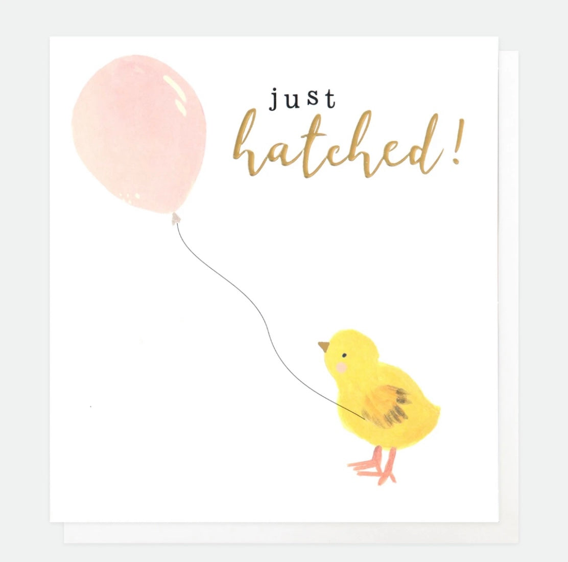 Just Hatched Baby Girl Card