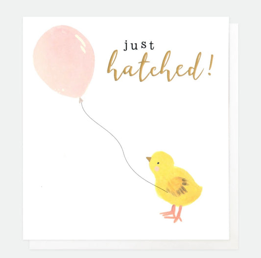 Just Hatched Baby Girl Card