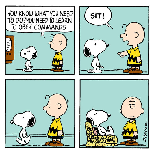 Snoopy Learn to Obey