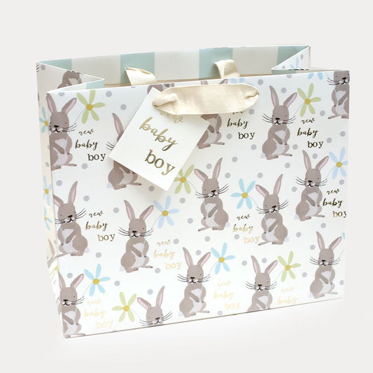 Bunny Boy New Baby Landscape Gift Bag