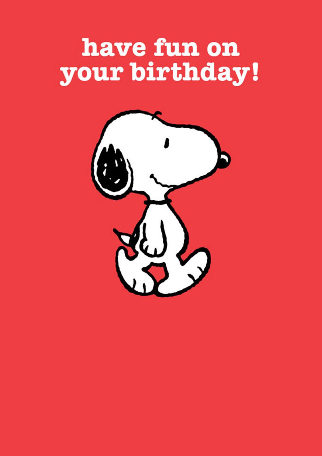 Snoopy fun birthday