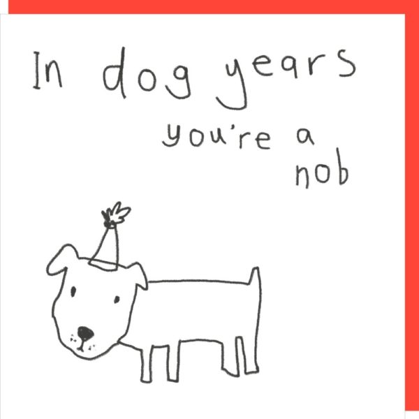 Dog Years