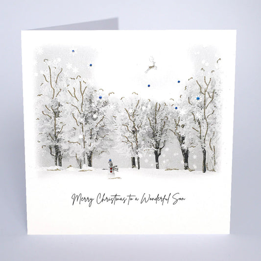 Wonderful Son - Christmas Card