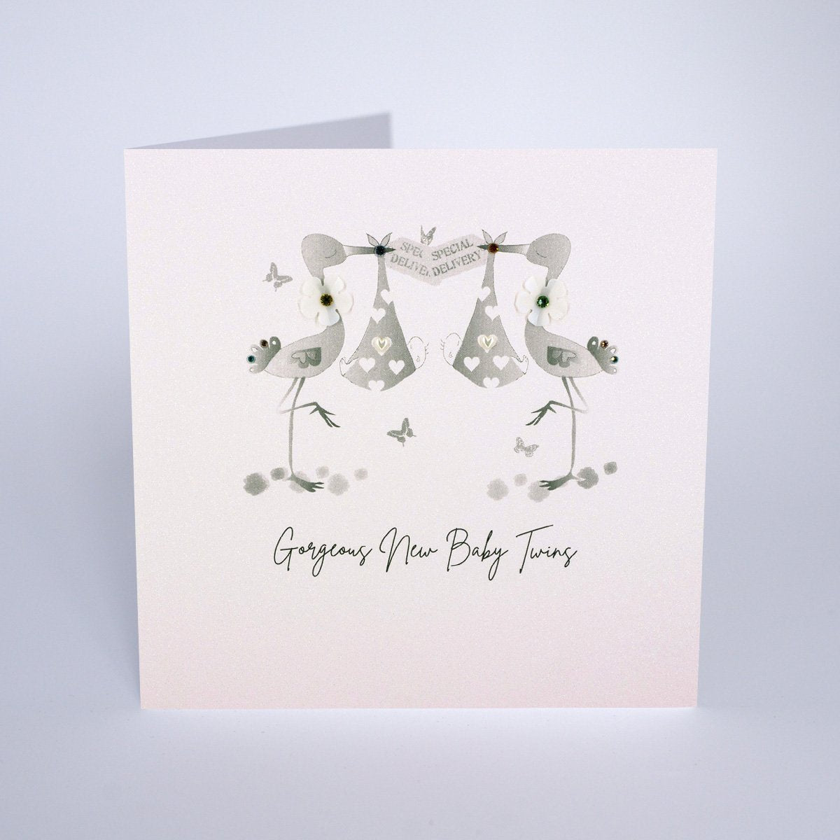 Gorgeous New Baby Twins Card