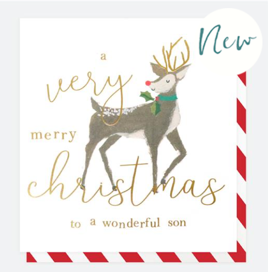 Merry Christmas Wonderful Son Deer